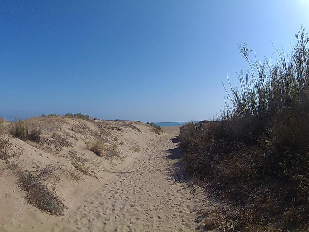 Bonito En Primerla Linea De Playa * Dénia